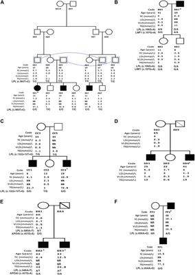 The Genetic Spectrum of Familial Hypertriglyceridemia in Oman